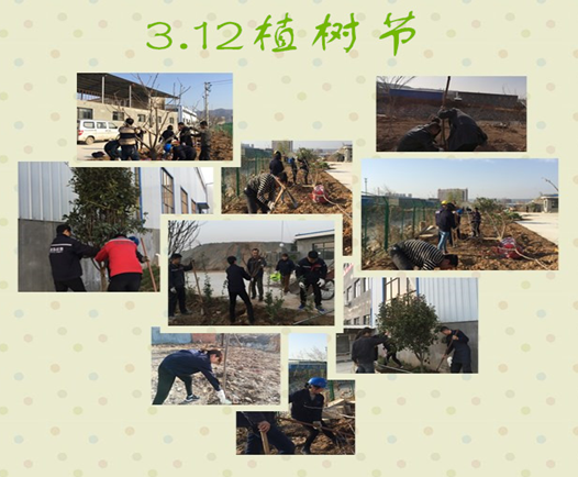 寶雞捷銳“迎春風(fēng)，綠家園”植樹節(jié)(圖3)